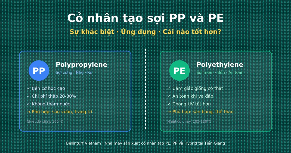 Cỏ nhân tạo sợi PP và PE là gì? So sánh chi tiết + ứng dụng cho sân bóng và sân vườn