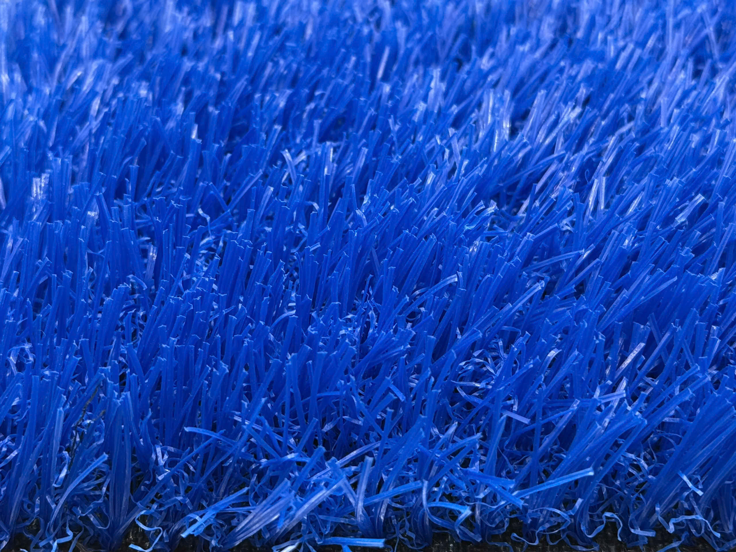 Bellin Blue Turf — Cỏ xanh dương
