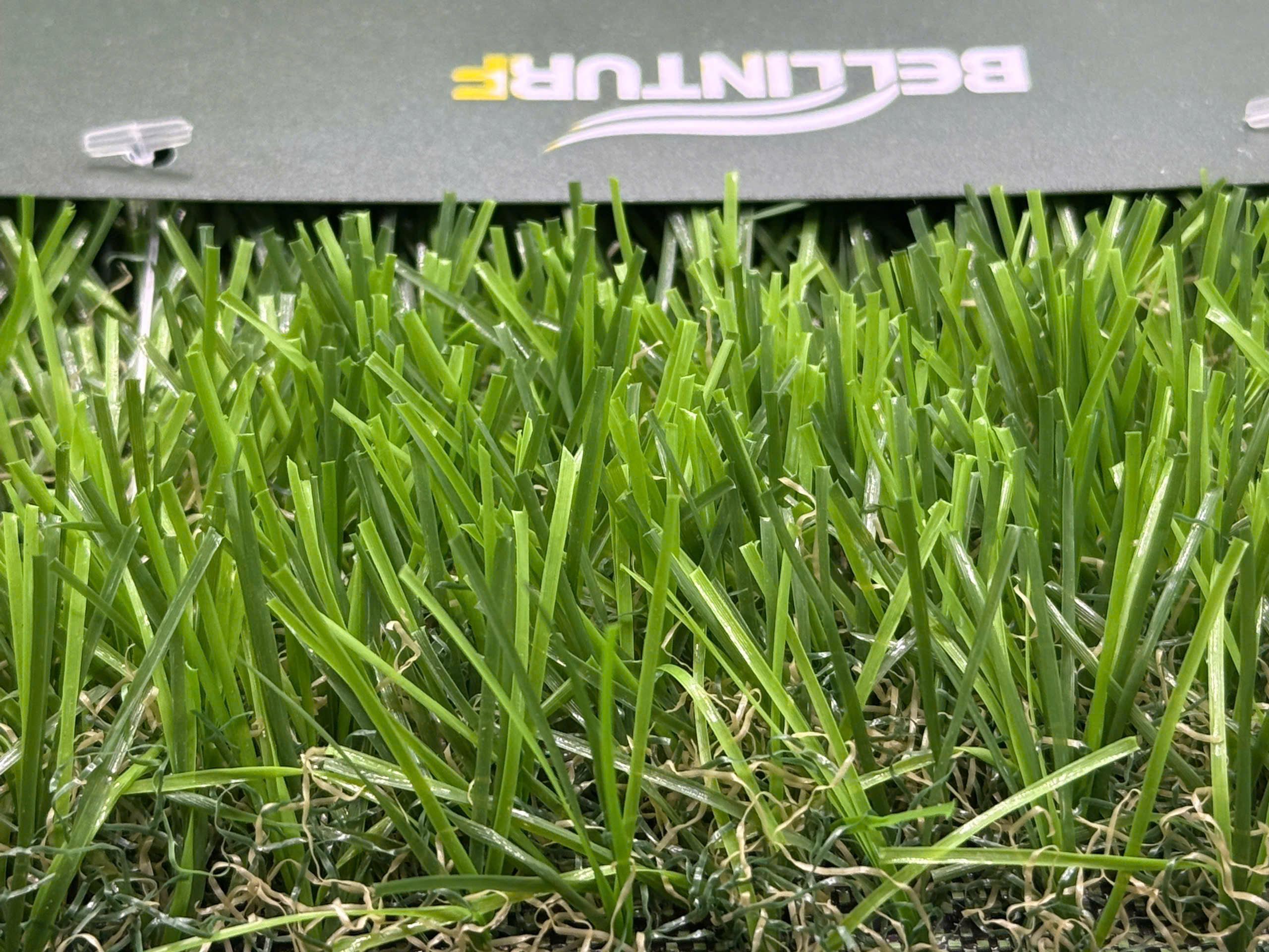 Landscape 4 Tone — Cỏ 4 tông màu