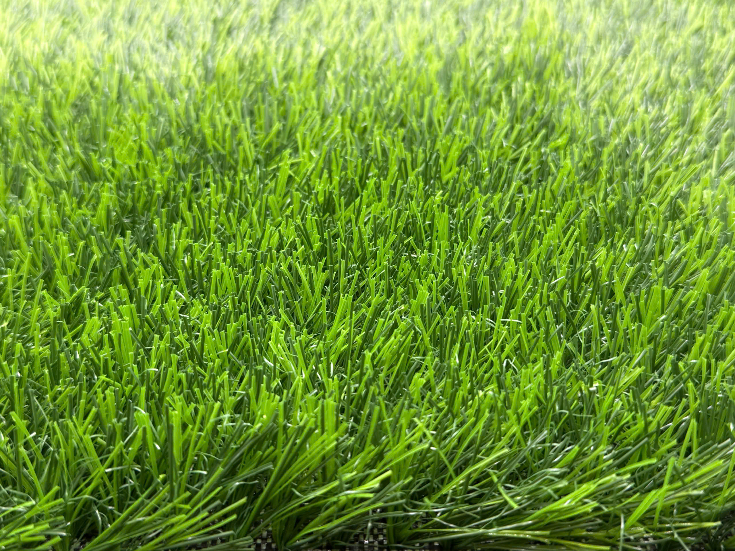 Landscape for Home — Cỏ sân vườn cho gia đình