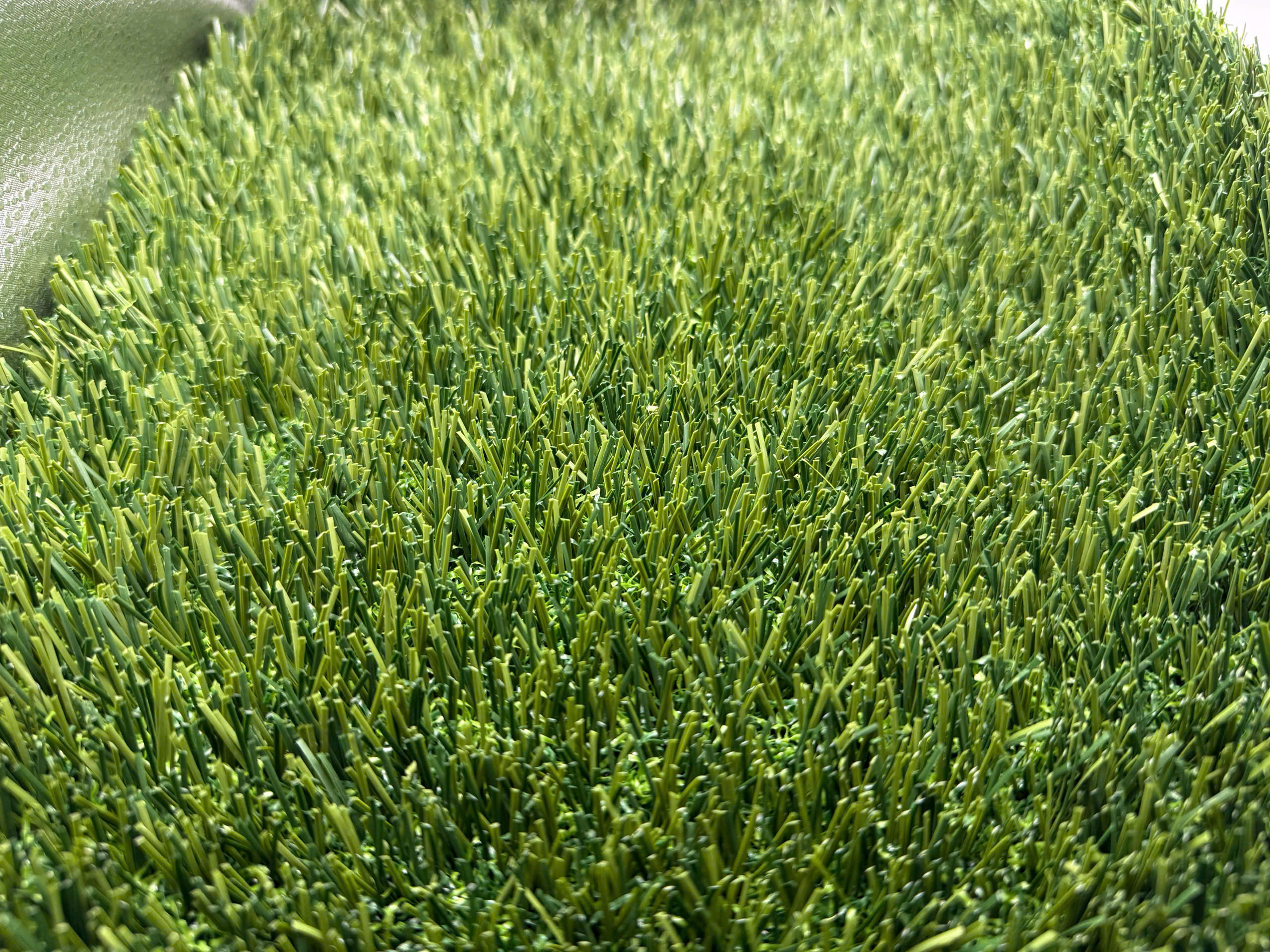 Tại sao 120+ trường học tại Việt Nam chọn cỏ Bellinturf?