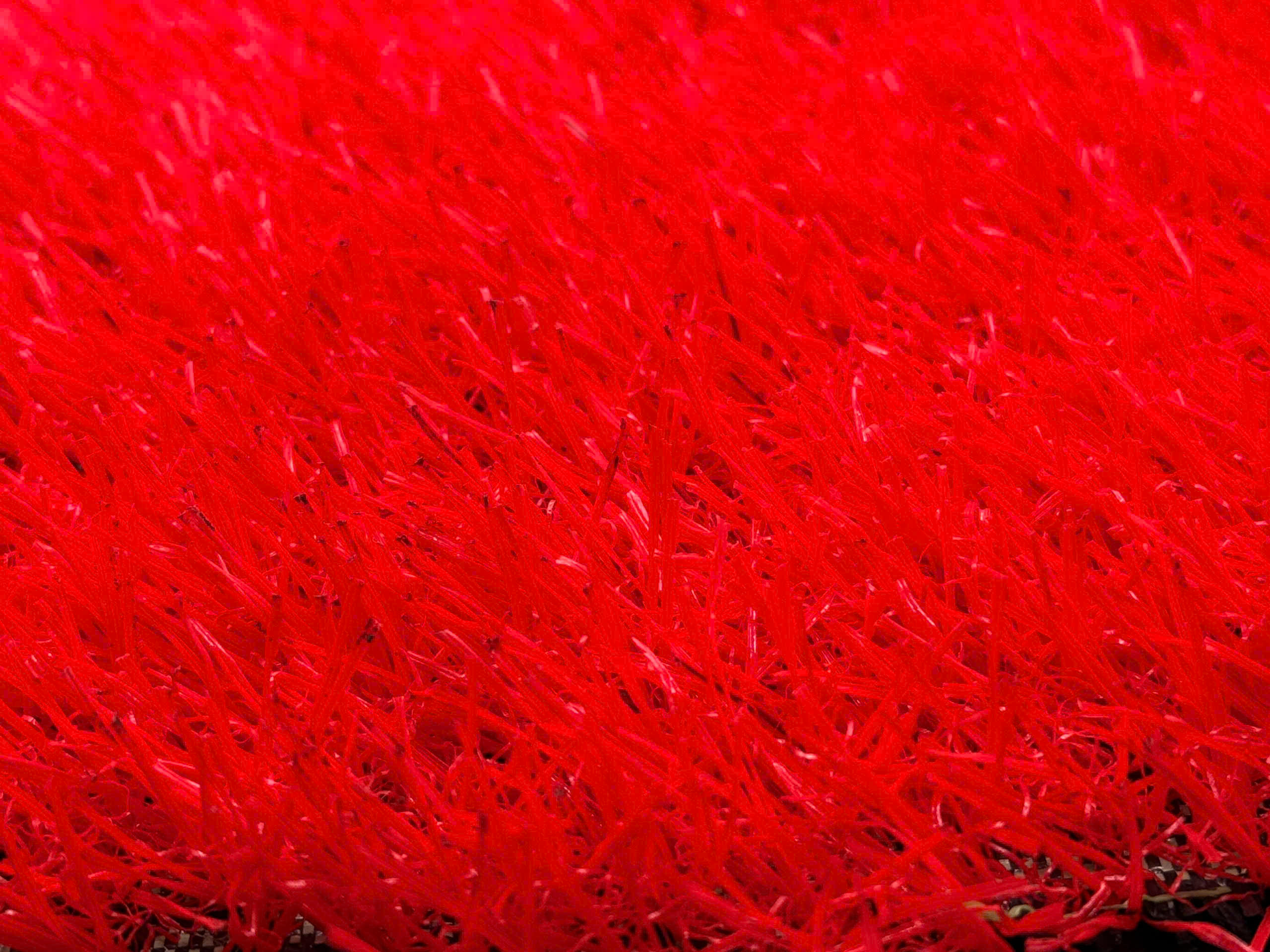 Bellin Red Turf — Cỏ đỏ